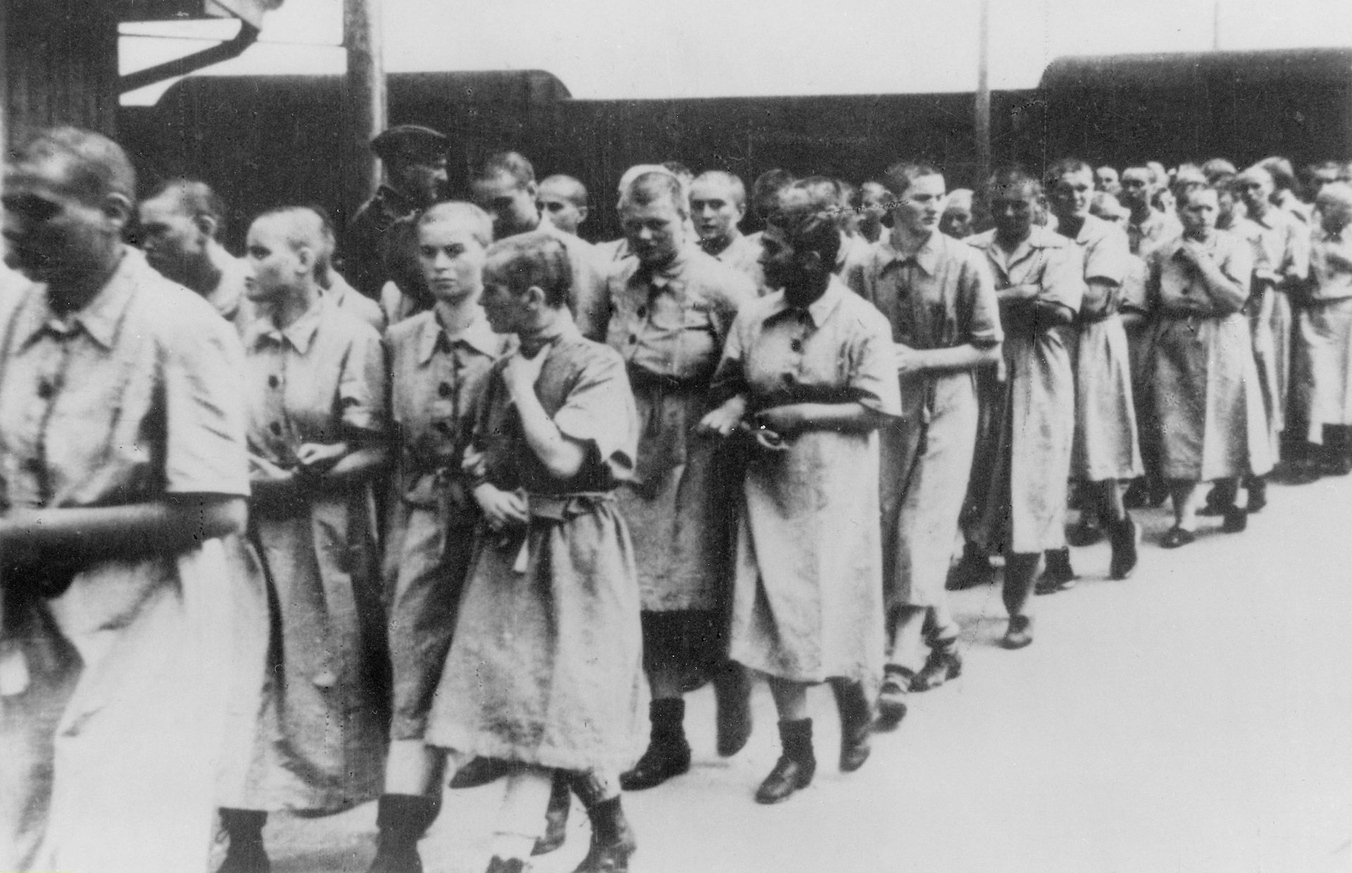 Sex In Concentration Camps Experiments